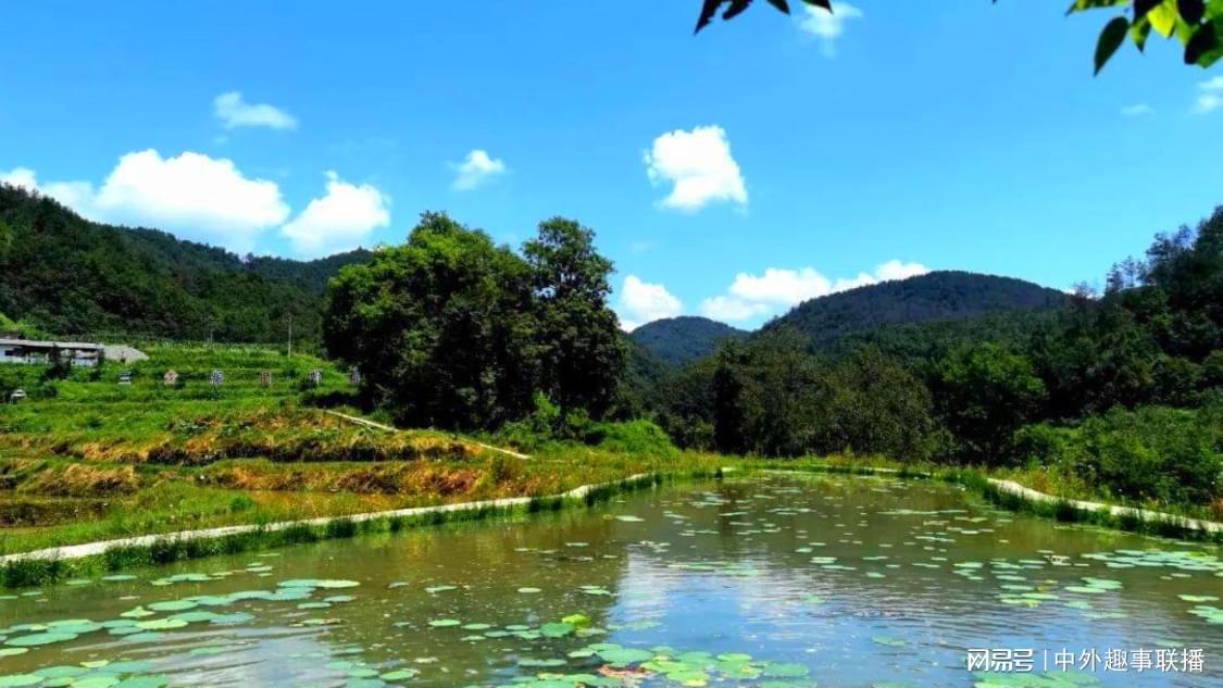 快手双击的网站：快手同款网站获市场新高认可